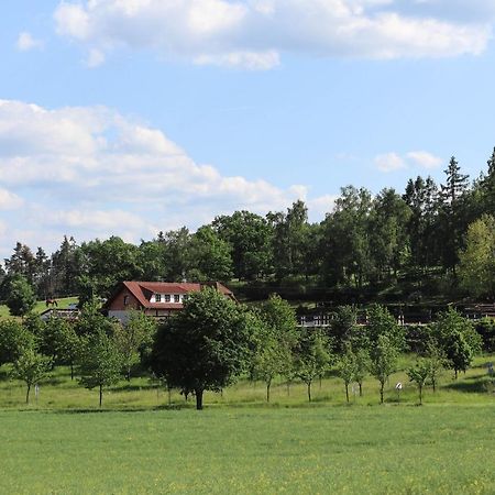 Ubytovani Pod Haniperkem Hotel Vodnany Bagian luar foto