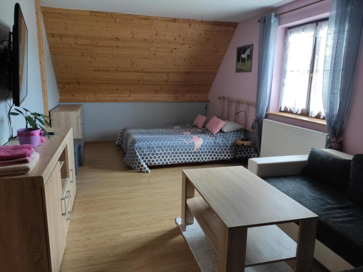 Ubytovani Pod Haniperkem Hotel Vodnany Bagian luar foto