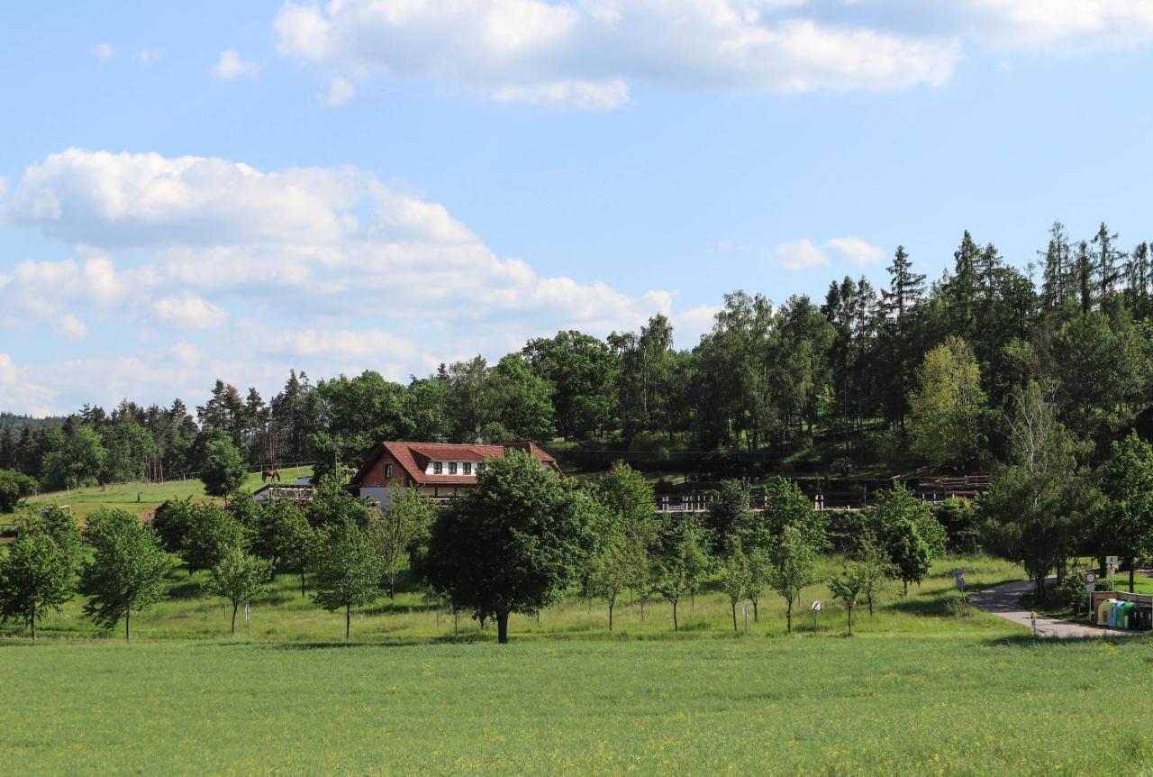 Ubytovani Pod Haniperkem Hotel Vodnany Bagian luar foto