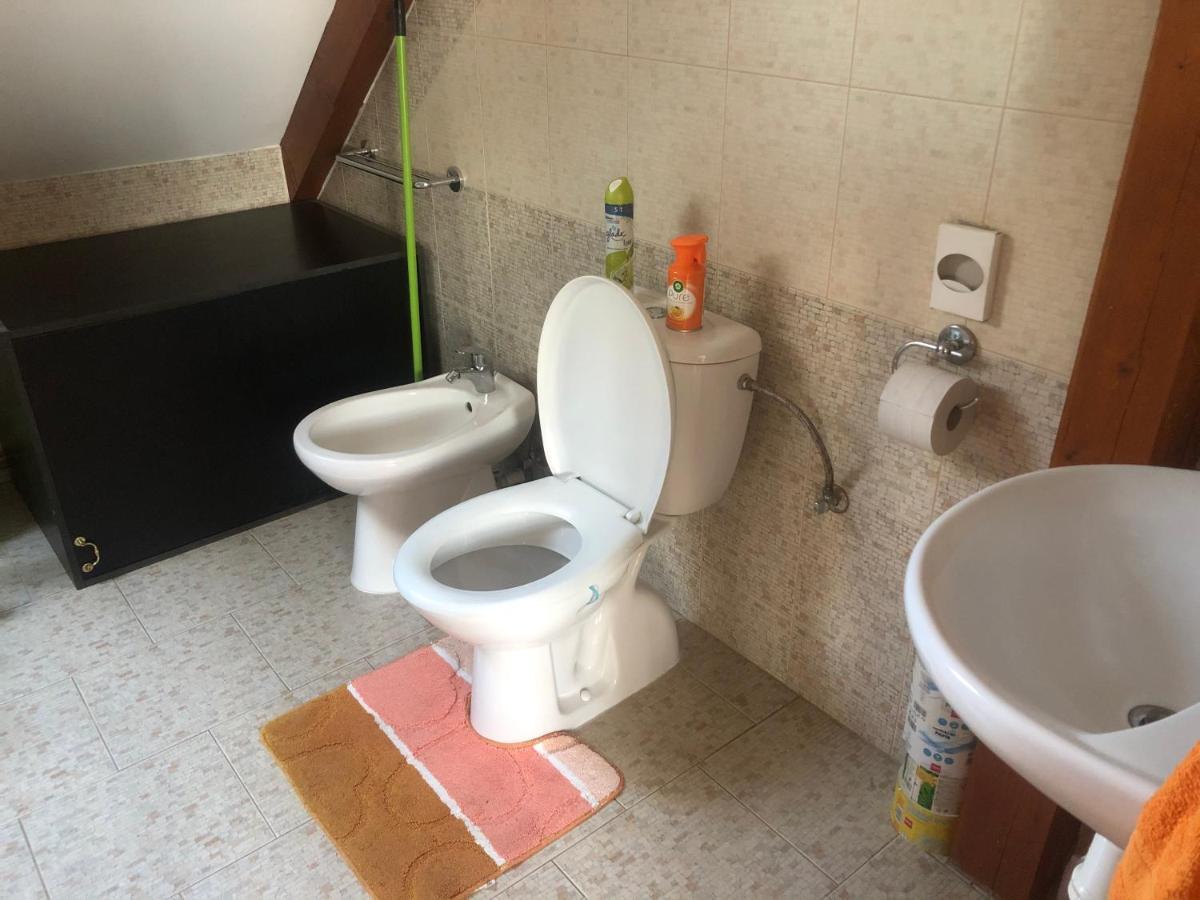 Ubytovani Pod Haniperkem Hotel Vodnany Bagian luar foto