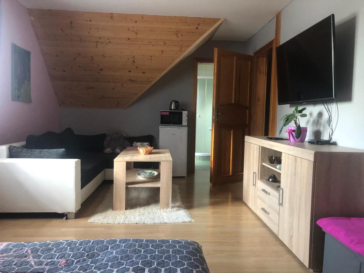 Ubytovani Pod Haniperkem Hotel Vodnany Bagian luar foto
